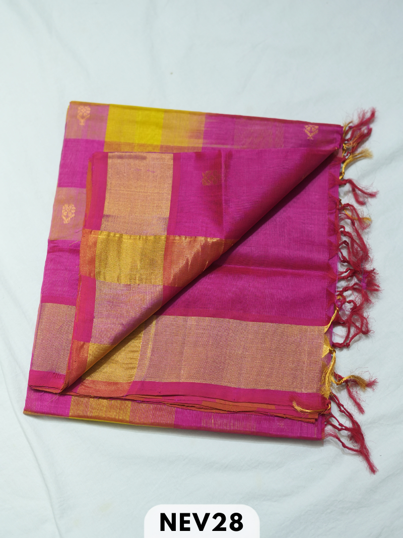 PALUM PAZHAMUM CHECKS WITH BUTTA SILK COTTON SAREE