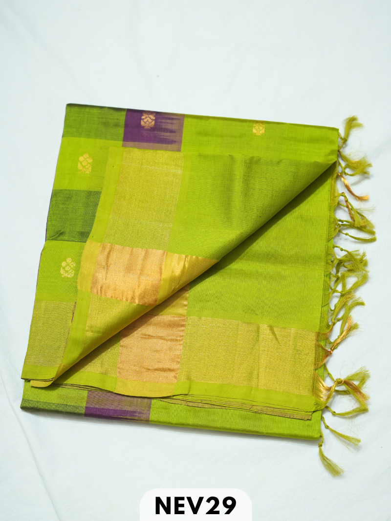 PALUM PAZHAMUM CHECKS WITH BUTTA SILK COTTON SAREE