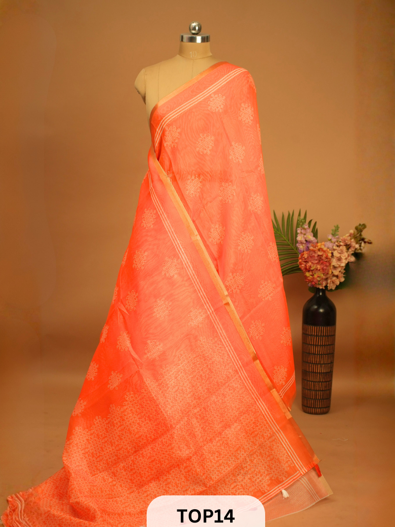 RAAGA SILK SAREE