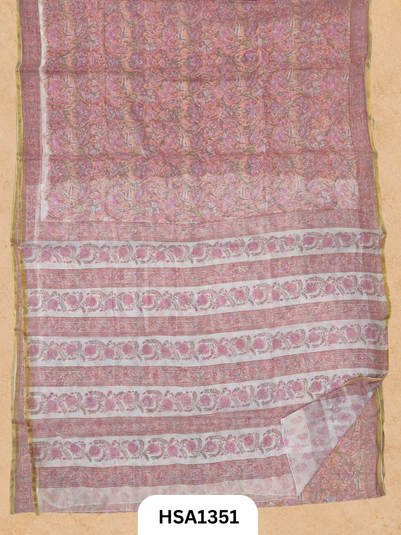 Chiffon Zari Border Saree - Hand Brush Painted