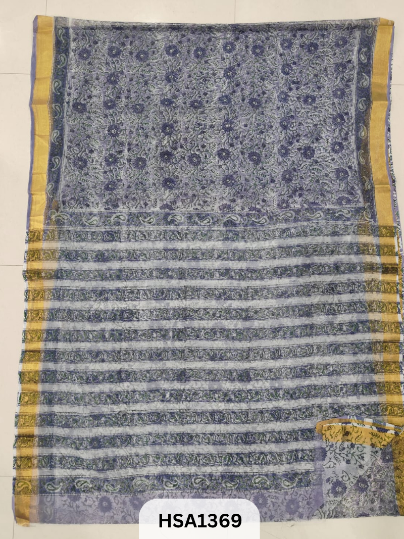 Chiffon Zari Border Saree - Hand Brush Painted