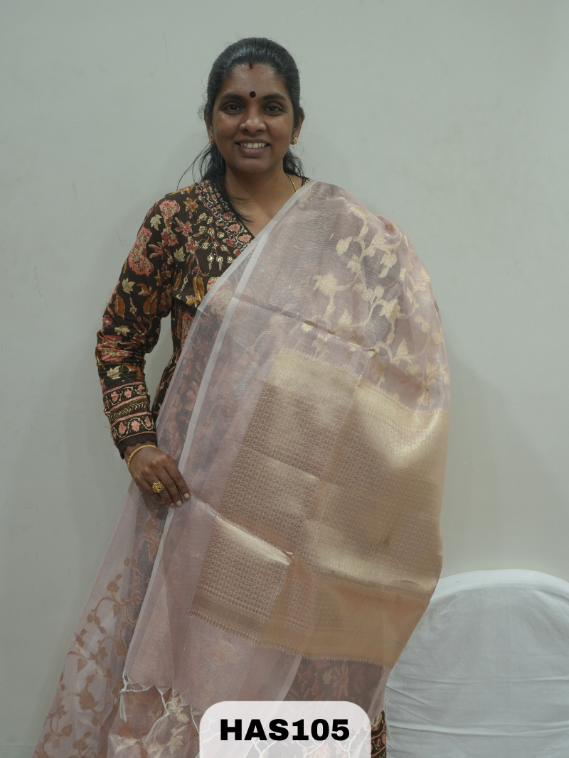 BANARAS TISSUE ZARI SAREE