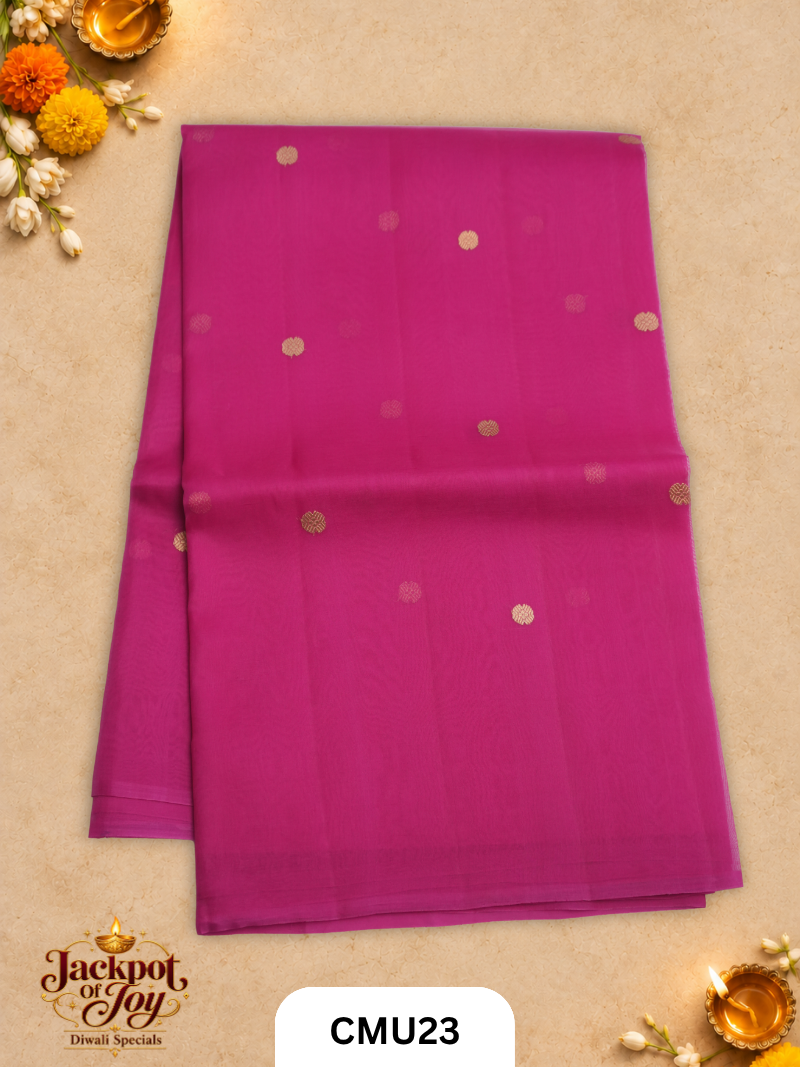 Banarasi Kora Organza Pure Handloom Saree