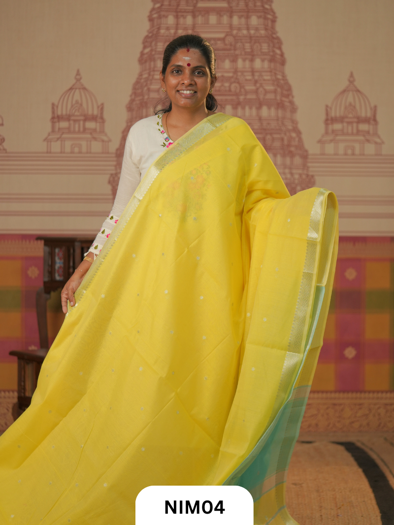 Maheshwari Inspired Chanderi Saree With Contrast Blouse