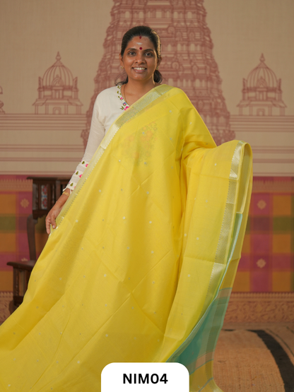 Maheshwari Inspired Chanderi Saree With Contrast Blouse
