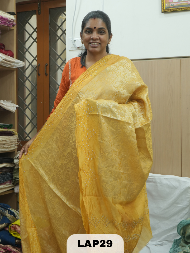 BANARAS KORA BROCADE DUPION BHANDHEJ SAREE