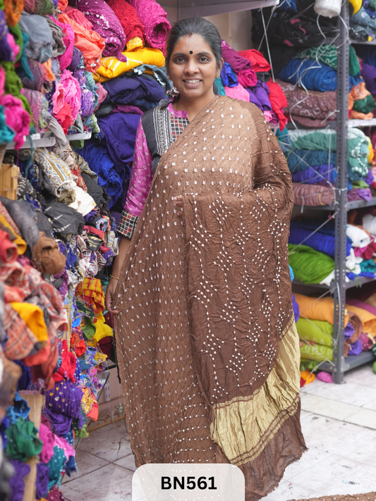 SEMI TISSUE PALLU SHADED BANDHEJ SAREE