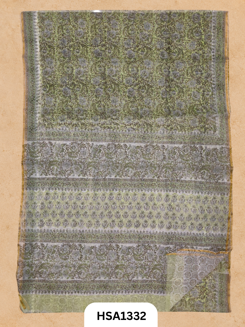 Chiffon Zari Border Saree - Hand Brush Painted