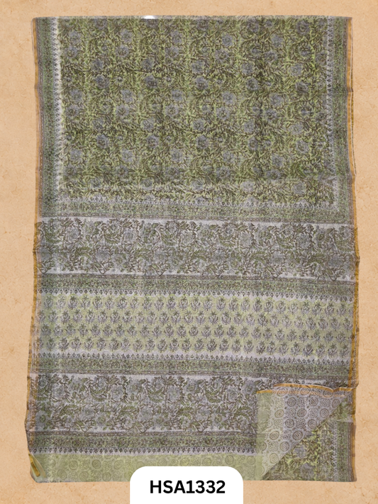 Chiffon Zari Border Saree - Hand Brush Painted