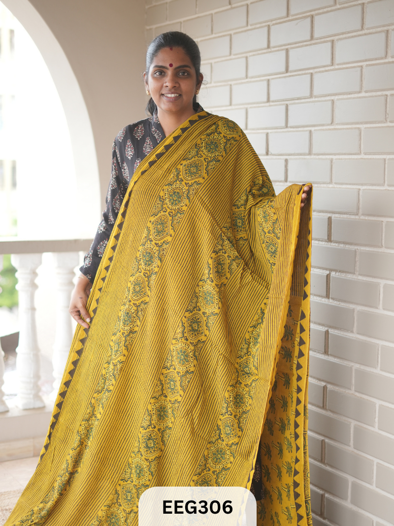 AJRAKH CHINON SAREE