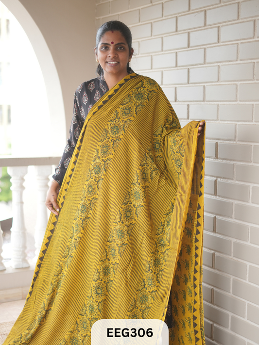 AJRAKH CHINON SAREE