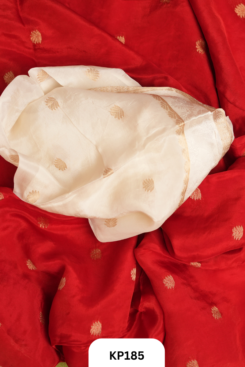 BANARASI GEORGETTE SAREE