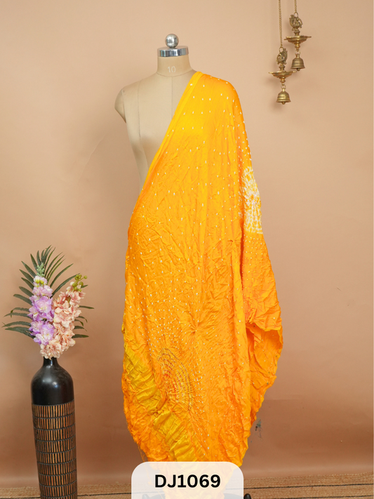 BANDHANI BORDERLESS WITH LAGDI PATTA - DUPATTA