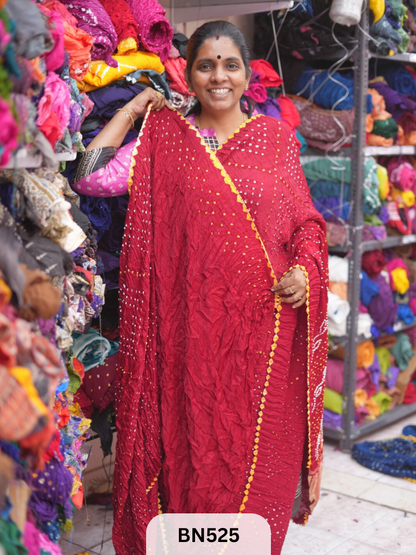 SEMI TISSUE WITH CHORAS DANI SAREE - LAGDI PATTA