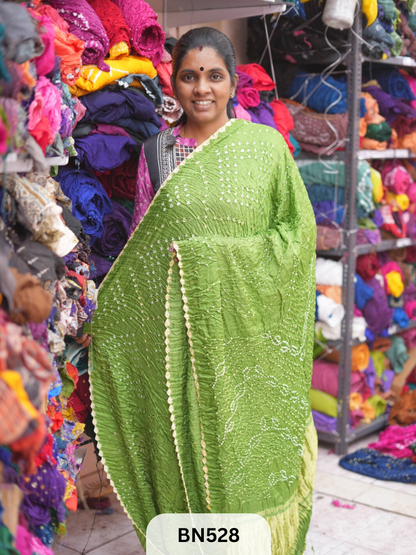 SEMI TISSUE WITH CHORAS DANI SAREE - LAGDI PATTA