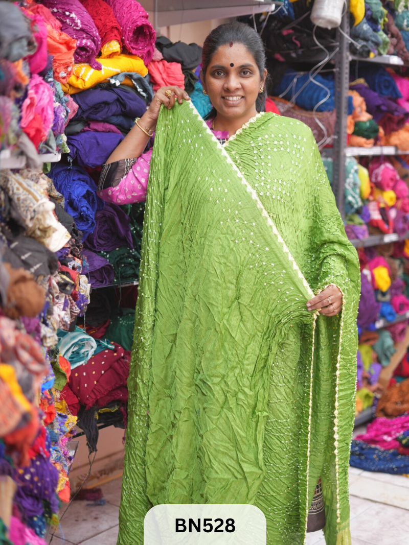 SEMI TISSUE WITH CHORAS DANI SAREE - LAGDI PATTA