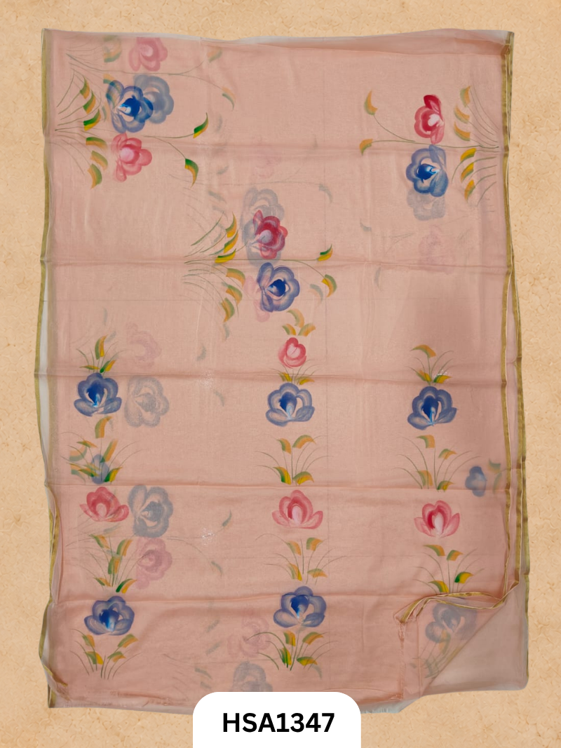 Chiffon Zari Border Saree - Hand Brush Painted