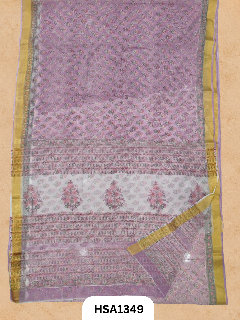 Chiffon Zari Border Saree - Hand Brush Painted