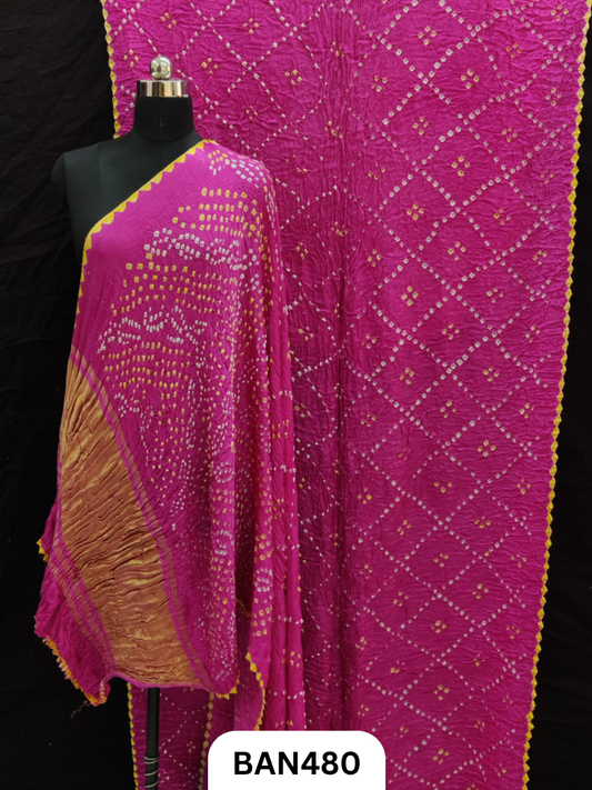 Semi Gaji SilkTissue Pallu Star Saree With Edging