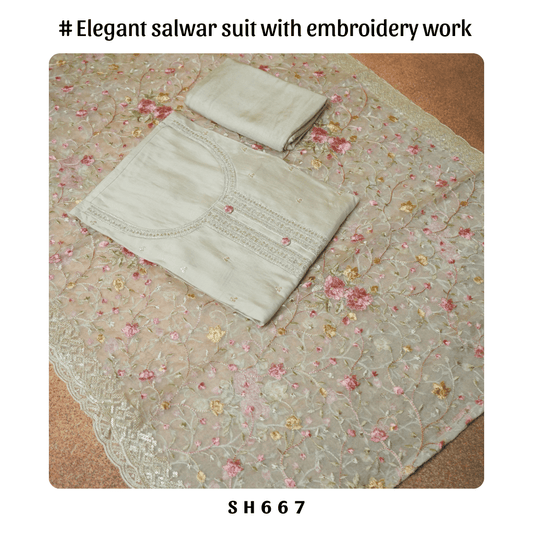 Elegant salwar suit with Organza Embroidered Dupatta