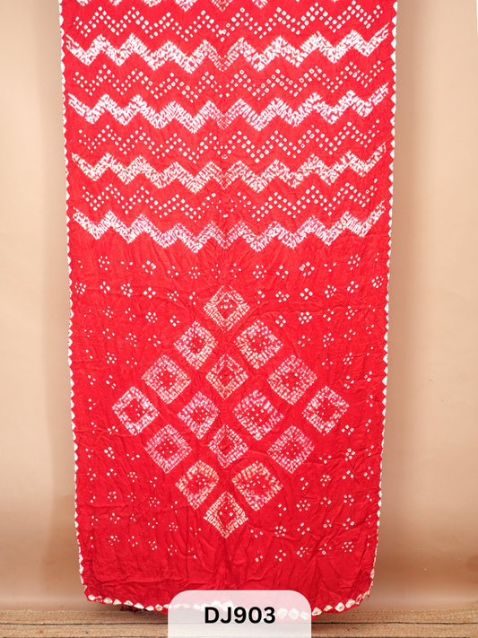 BANDHANI  WITH SHIBORI SAREE