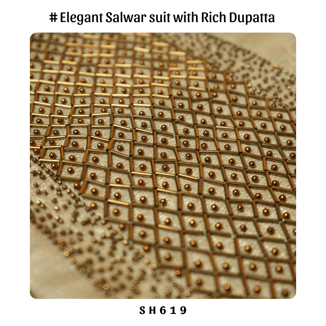 Pure Tissue Salwar suit
