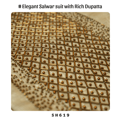 Pure Tissue Salwar suit