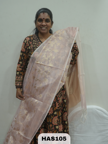 BANARAS TISSUE ZARI SAREE