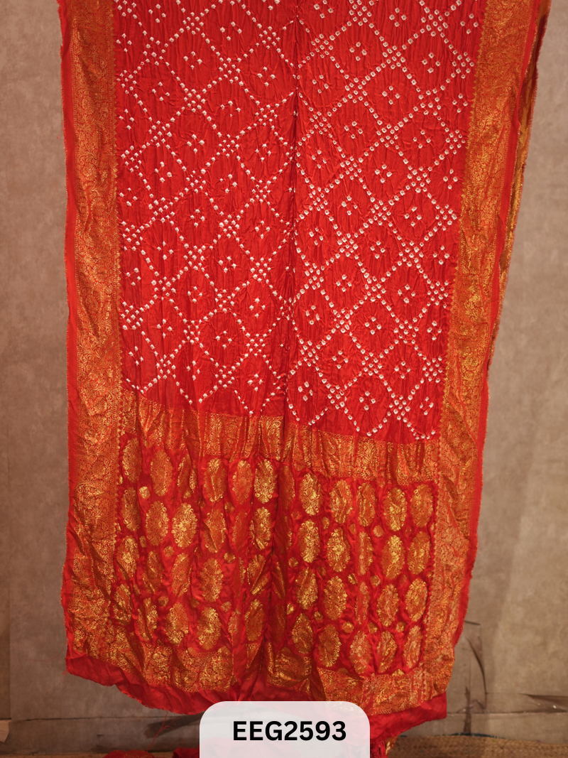 MODAL FUSIOIN SAREE WITH DOLA BORDER - EXCLUSIVE