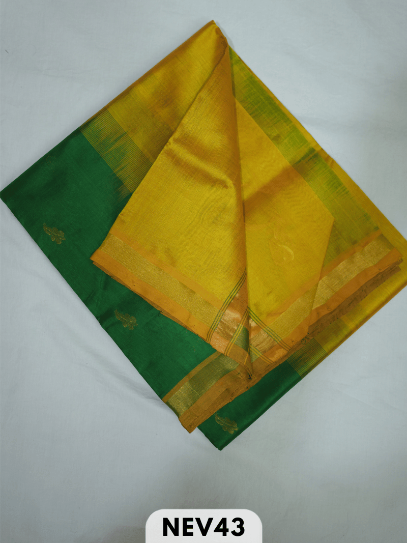 SMALL BORDER WITH BODY BUTTA SILK COTTON SAREE