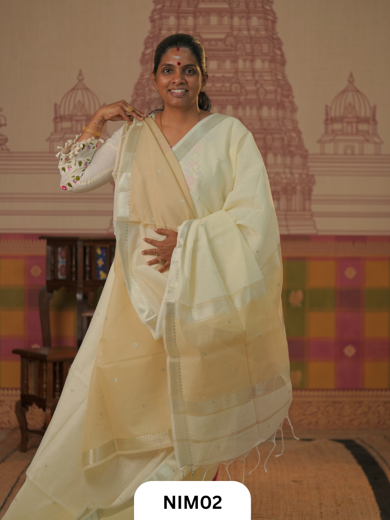 Maheshwari Inspired Chanderi Saree With Contrast Blouse