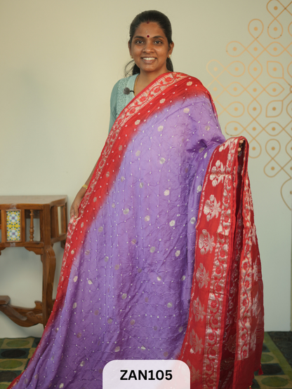 BANARASI BANDHINI WITH TIE AND DIE SAREE