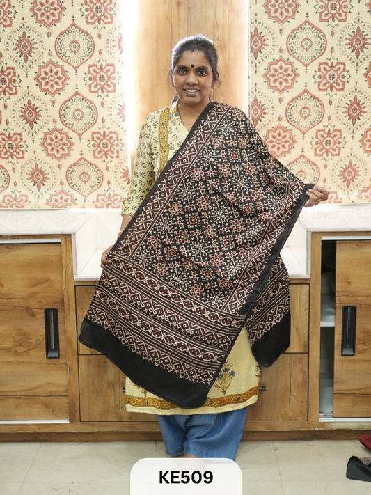 MASHRU HANDBLOCK PRINT STOLE