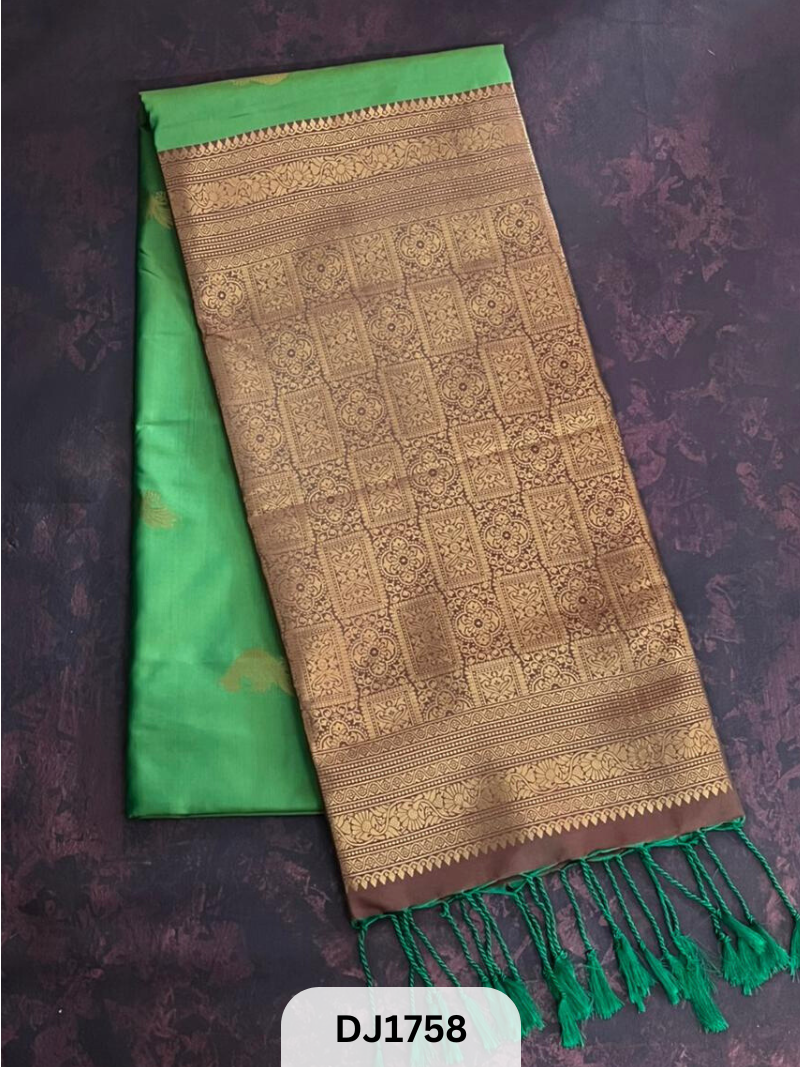 NANO KANCHI SILK SAREE