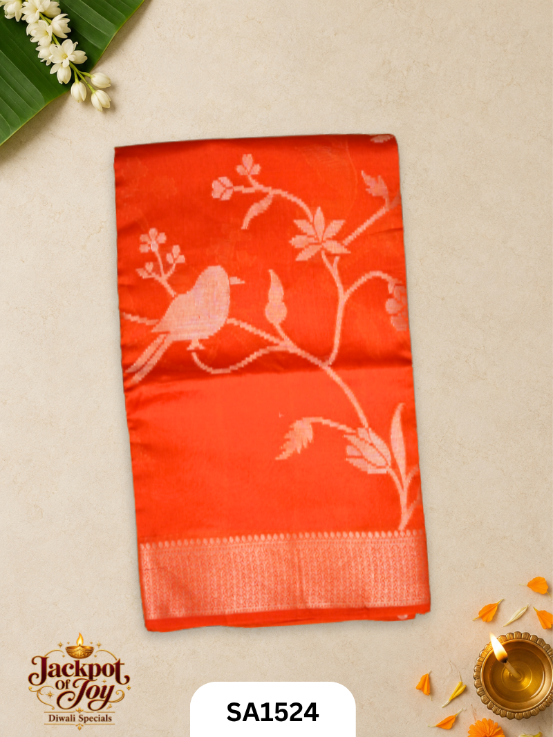 Banarasi Patola Saree