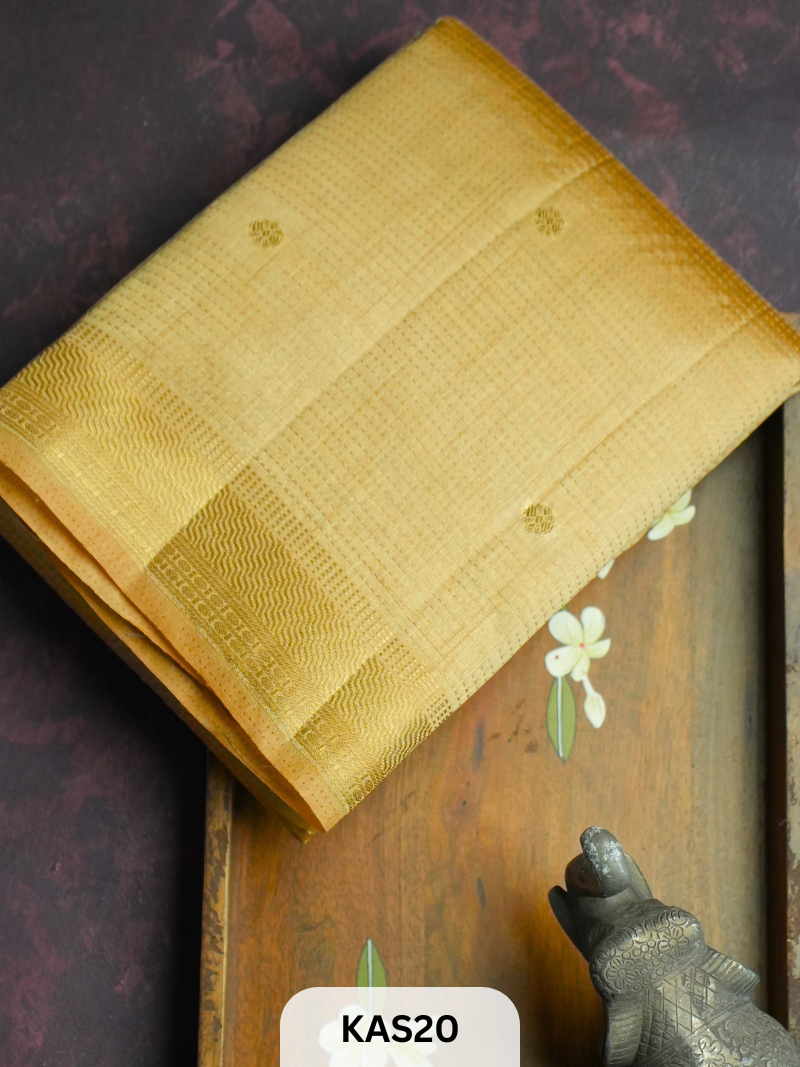 DUPION TUSSAR SAREE